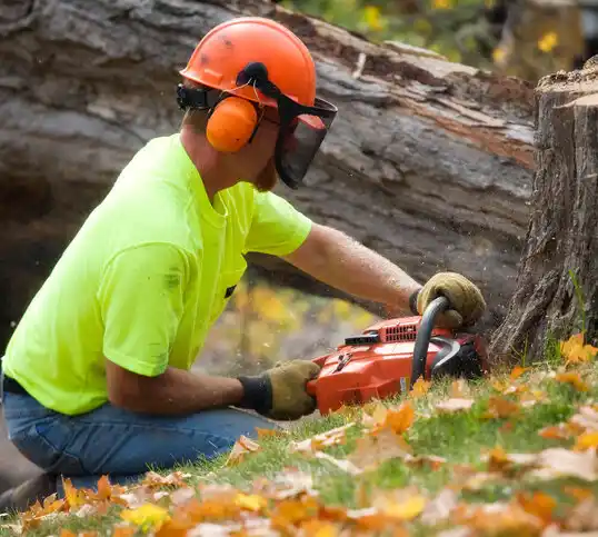 tree services Spottsville